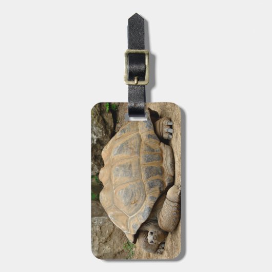 glimlende tortoise bagagelabel (Voorkant verticaal)