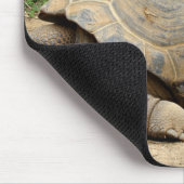 glimlende tortoise muismat (Hoek)