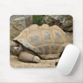 glimlende tortoise muismat (Met muis)