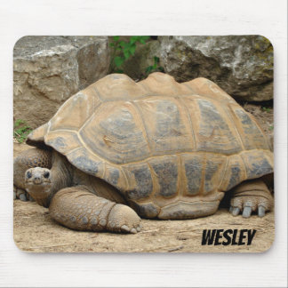 glimlende tortoise muismat