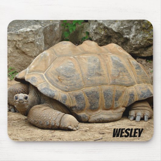 glimlende tortoise muismat (Voorkant)