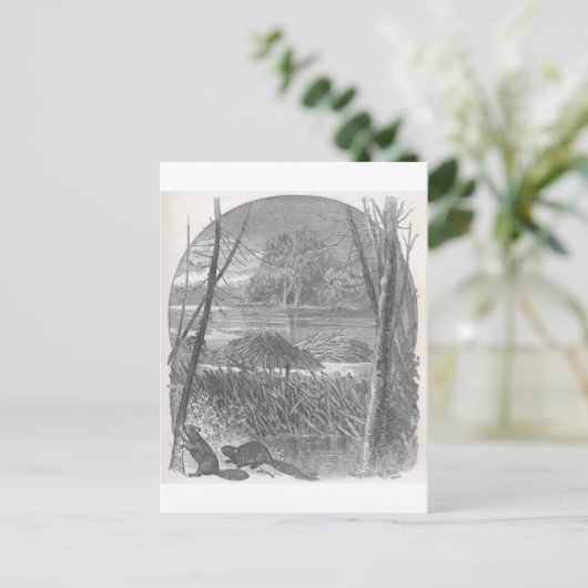 Glimpen van de Animate World - Beaver Dam Briefkaart (Staand voorkant)