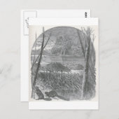 Glimpen van de Animate World - Beaver Dam Briefkaart (Voorkant / Achterkant)