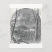 Glimpen van de Animate World - Beaver Dam Briefkaart (Voorkant)