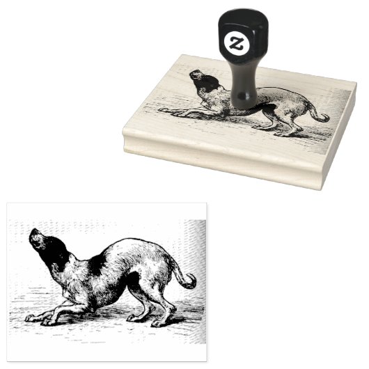 Glimpen van de Animate World: Hond Rubberstempel (Gestempeld)