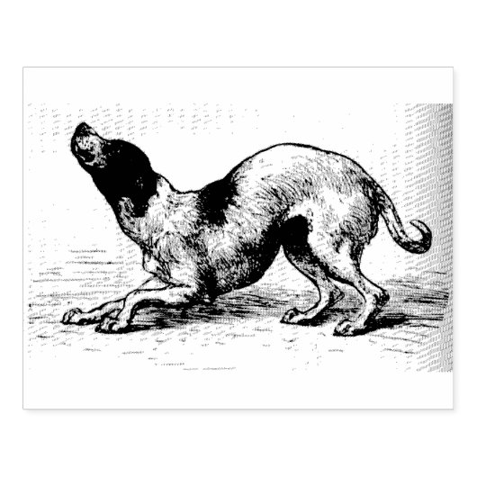 Glimpen van de Animate World: Hond Rubberstempel (Afrduk)