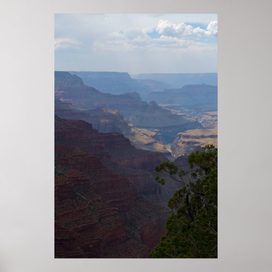 Glimpse druk Colorado River 4708 Poster (Voorkant)
