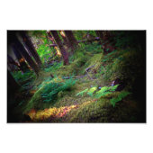 Glimpse in Eden Foto Afdruk (Voorkant)