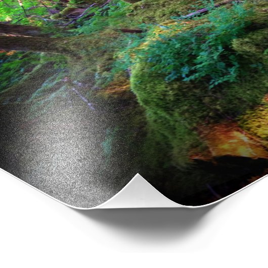 Glimpse in Eden Foto Afdruk (Hoek)