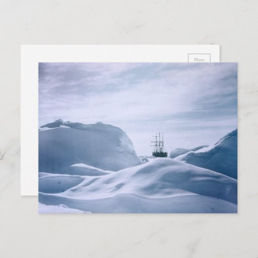 Glimpse scheepsduur Antarctica Briefkaart (Voorkant / Achterkant)