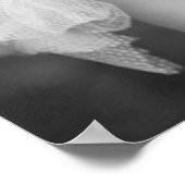 Glinda the Good Witch, begin jaren '00 Poster (Hoek)