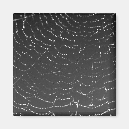 Glinsterend Spinnenweb Magneet (Voorkant)