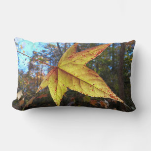 Glinsterend Sweetgum-blad in het bos Kussen