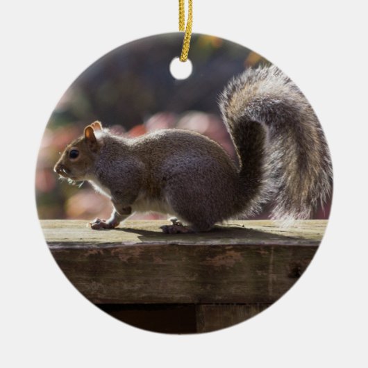 Glinsterende eekhoorn keramisch ornament (Voorkant)