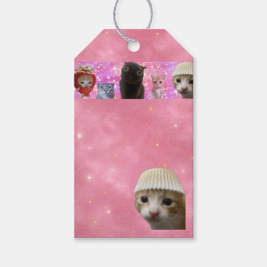 glinsterende etherische meme kat cadeaubijlage cadeaulabel (Voorkant)