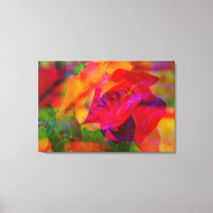 GLITCH ART van een natte roos op canvasprint Canvas Afdruk