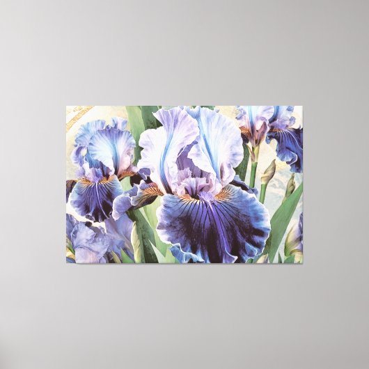*~* Glitter Aqua IRIS Irissen  Bloemen TV2 Canvas Afdruk (Voorkant)