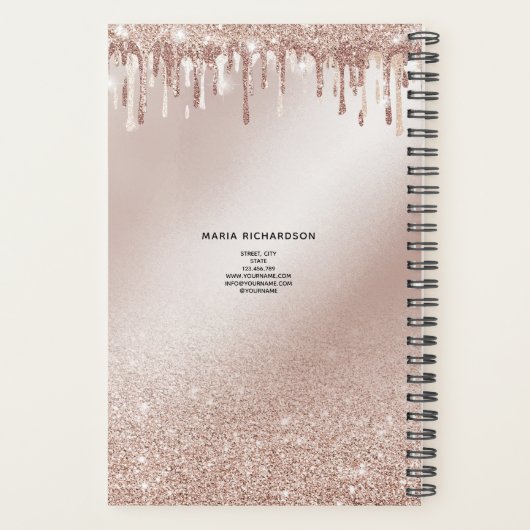 Glitter Druppels Make-up Wenkbrauw Eyes Lashes Roo Planner (Achterkant)