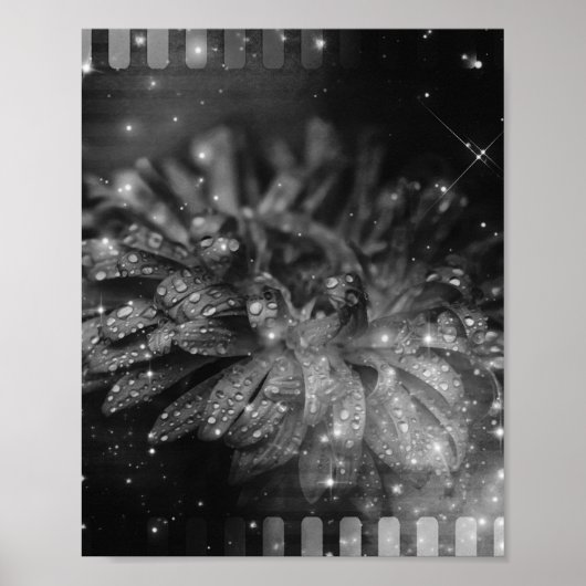 Glitter Flower Film Strip Background Poster (Voorkant)