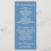 Glitter Shimmer Blue String Lights Programma Programmakaart (Achterkant)