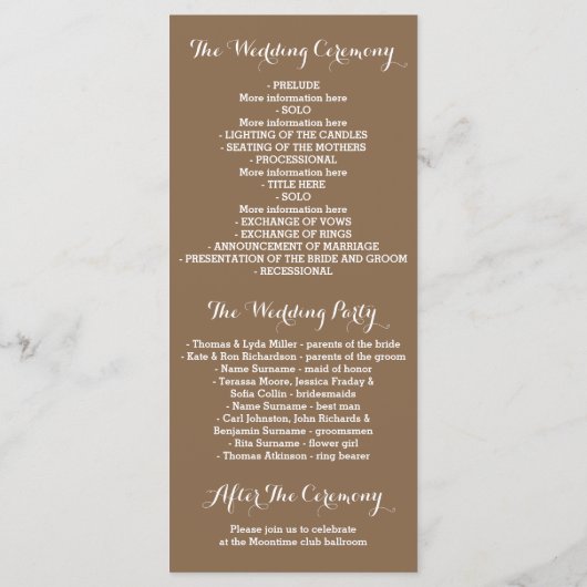 Glitter Shimmer Chic String Lights Programma Programmakaart (Achterkant)