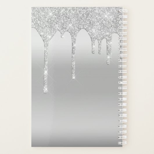 Glitter Silver op persoonlijke titel uitlijnen Planner (Achterkant)
