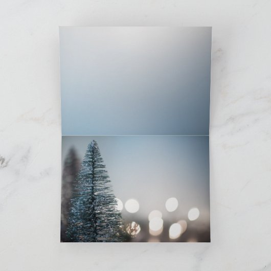 Glitter Silver ornament Kerstmis Feestdagen Kaart (Binnen)