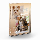Glitterende Pet Gold Fotoblokken (Links)