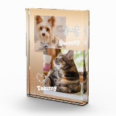 Glitterende Pet Gold Fotoblokken (Rechts)