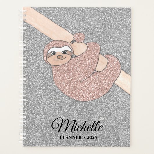 Glittersleuf voor gepersonaliseerd Roos Gold Silve Planner (Voorkant)