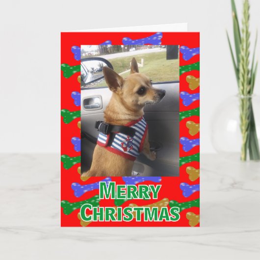 Glittery Dog Botten Elke Kaart voor kerstmis met e (Voorkant)