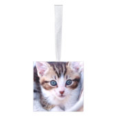 Glittery Silver Foil Fancy Monogram Decoratie (Rechts)