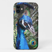 Glitzy Peacock Case-Mate iPhone Case (Achterkant)