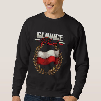 Gliwice Polen Reizen Poolse Vlag Polska Trui