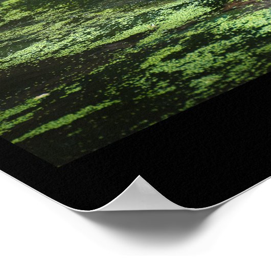 Global Tiger Day, TIGER-fotoPoster Poster (Hoek)