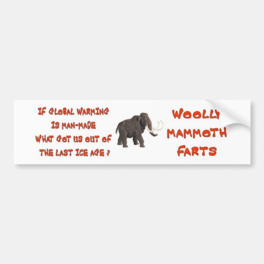 GLOBAL WARMING HOAX BUMPERSTICKER (Voorkant)