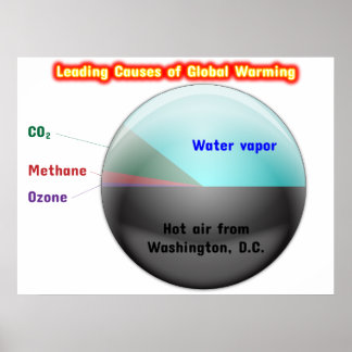 Global Warming Poster