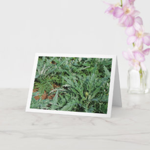 Globe Artisjok Distel Planten Kaart