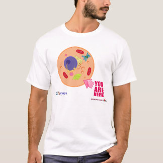 Globy-kaarten T-shirt