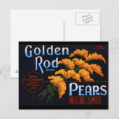 Gloden staafperen briefkaart (Voorkant / Achterkant)