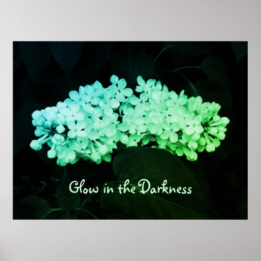 Gloed in de Darkness Green Lilacs Photo Poster (Voorkant)