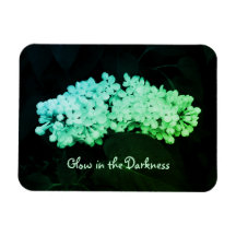 Gloed in de Donkere Groene Lilacs Gewijzigde Foto