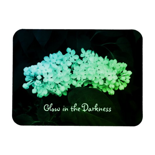 Gloed in de Donkere Groene Lilacs Gewijzigde Foto Magneet (Horizontaal)