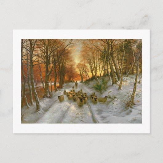 Gloed met tint van avonduren briefkaart (Voorkant)