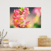 Gloed op mij poster (Keuken)