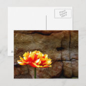 Gloed Tulip Briefkaart (Voorkant / Achterkant)