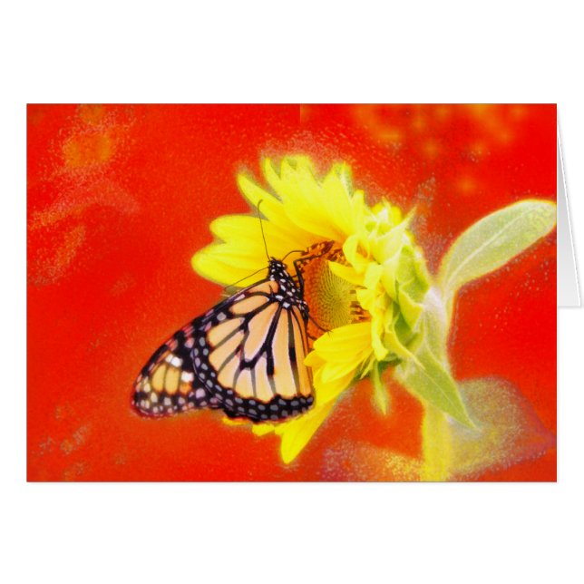 Gloei (Voorkant Horizontaal)