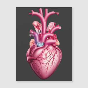gloeiend anatomisch hart