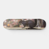 Gloeiend eekhoorn skateboard (Horizontaal)