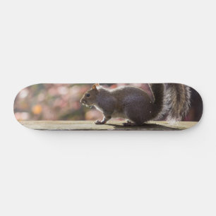 Gloeiend eekhoorn skateboard